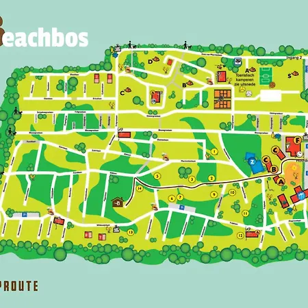 Welkom In Het Beachbos I Onthaasten Op De Veluwe * Hoenderloo