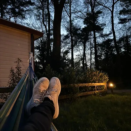 Welkom In Het Beachbos I Onthaasten Op De Veluwe 木屋 *