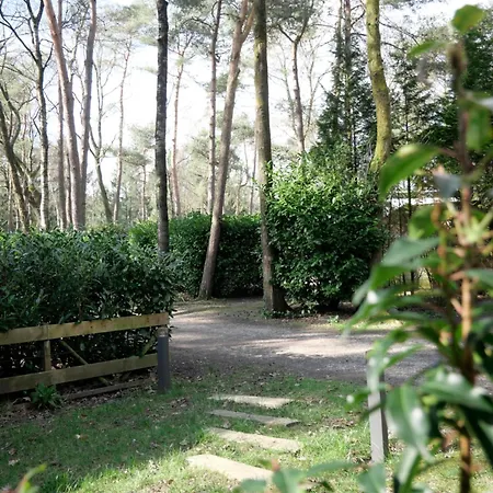 木屋 Welkom In Het Beachbos I Onthaasten Op De Veluwe 霍德鲁