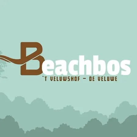Welkom In Het Beachbos I Onthaasten Op De Veluwe