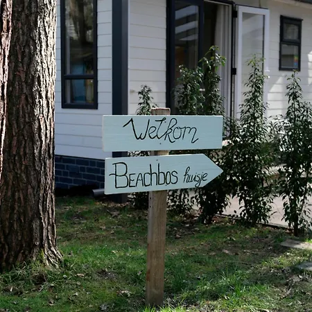 Welkom In Het Beachbos I Onthaasten Op De Veluwe * Hoenderloo