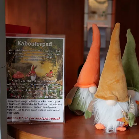 Welkom In Het Beachbos I Onthaasten Op De Veluwe Chalet