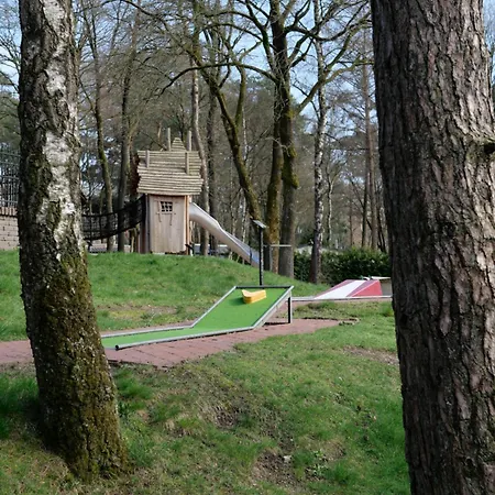 Welkom In Het Beachbos I Onthaasten Op De Veluwe *