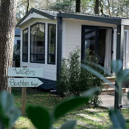 Chalet Welkom In Het Beachbos I Onthaasten Op De Veluwe