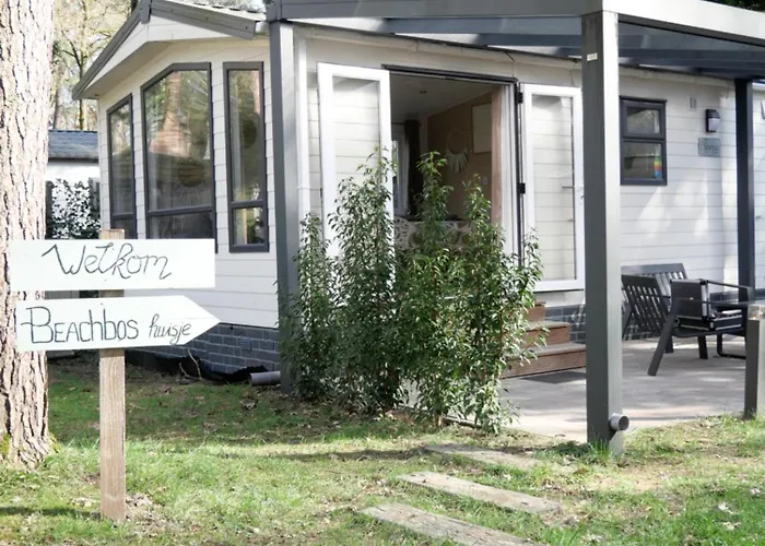 Welkom In Het Beachbos I Onthaasten Op De Veluwe * Hoenderloo