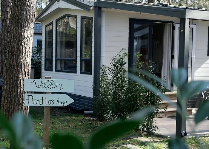 Chalet Welkom In Het Beachbos I Onthaasten Op De Veluwe