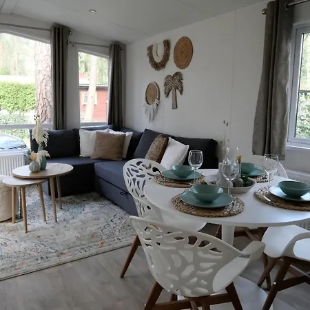 Welkom In Het Beachbos I Onthaasten Op De Veluwe *