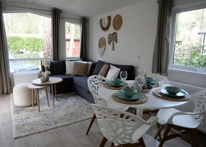 Welkom In Het Beachbos I Onthaasten Op De Veluwe *