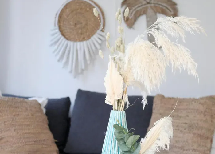 Welkom In Het Beachbos I Onthaasten Op De Veluwe Hoenderloo